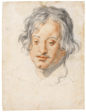 Head of a young man looking down